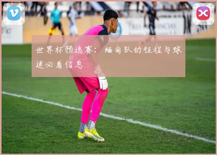 世界杯预选赛：缅甸队的征程与球迷必看信息