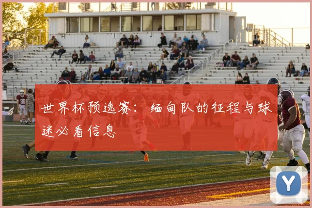 世界杯预选赛：缅甸队的征程与球迷必看信息