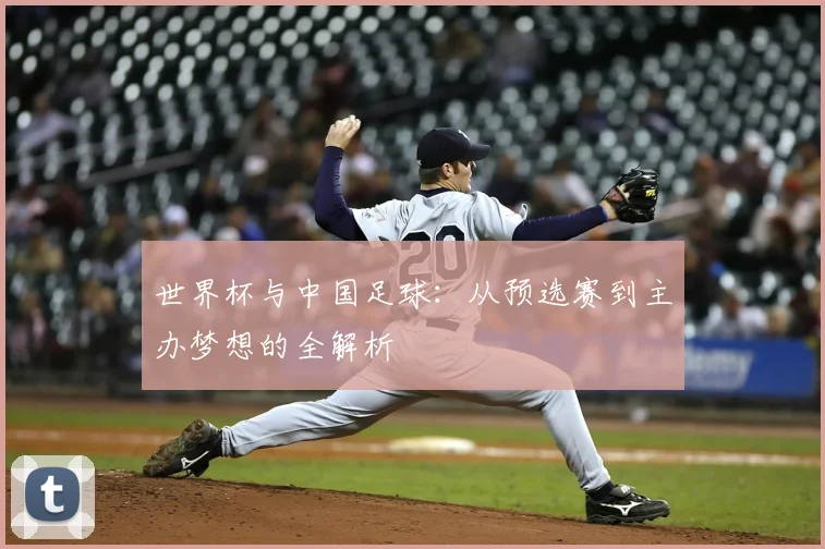 世界杯与中国足球：从预选赛到主办梦想的全解析